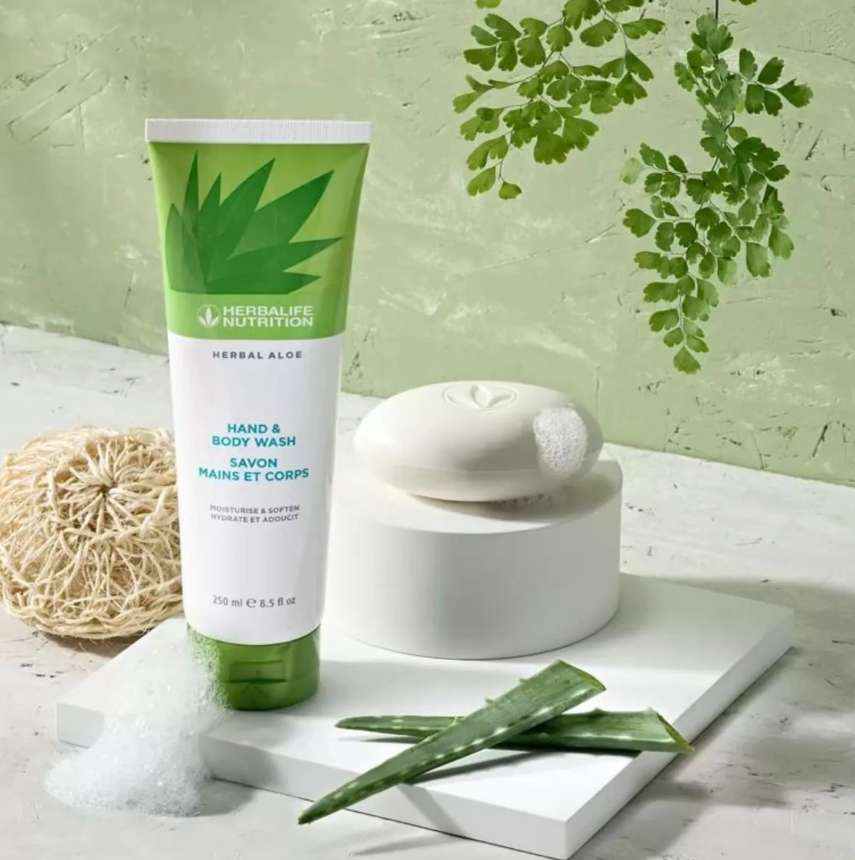 Herbalife Herbal Aloe El ve Vücut Şampuanı 250 Ml