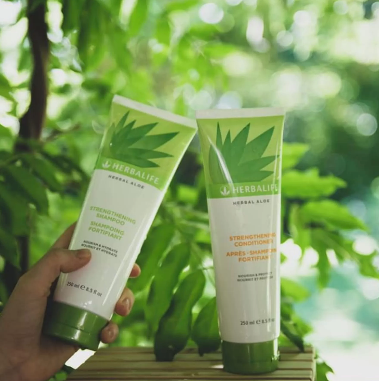 Herbalife Herbal Aloe Güçlendirici Şampuan 250 mL