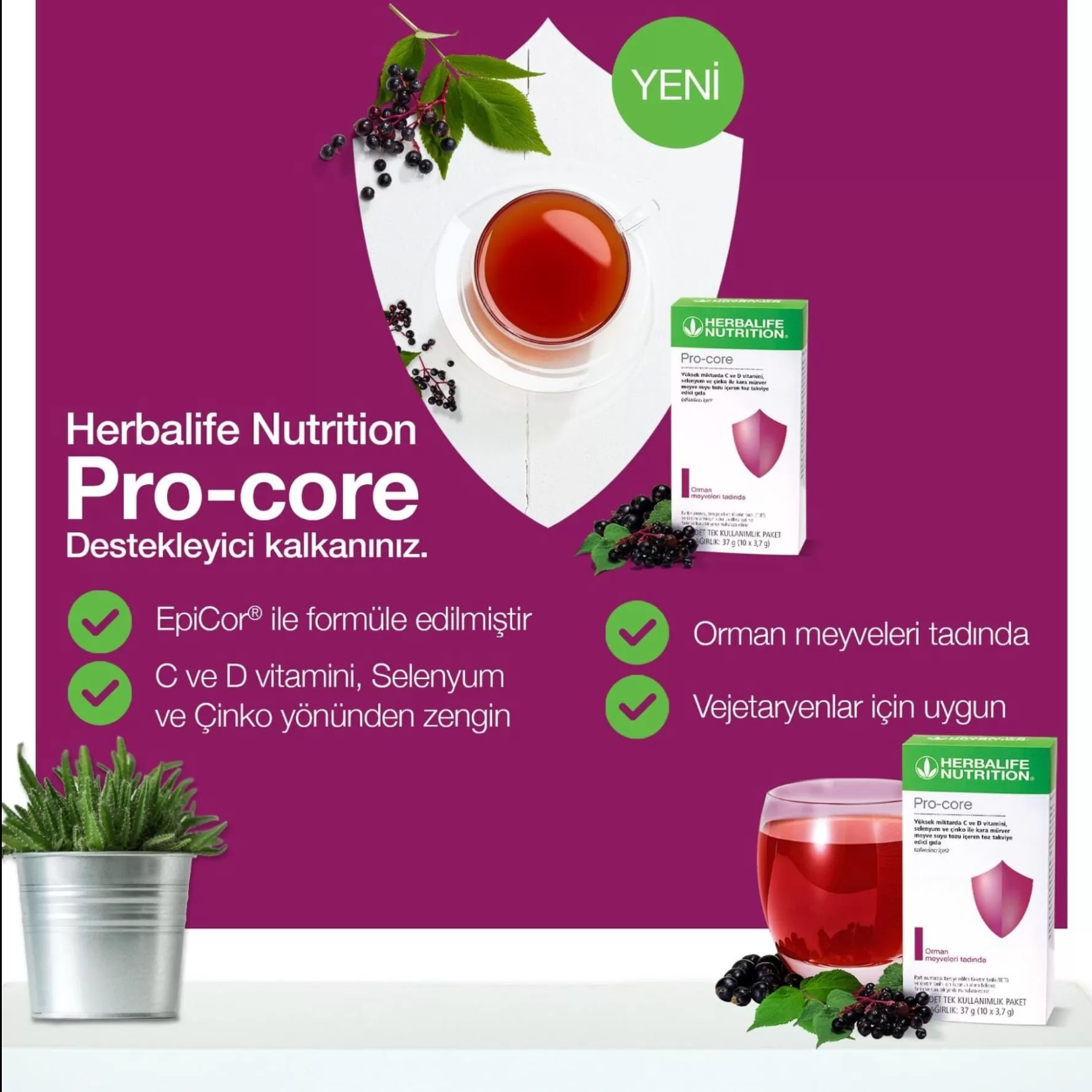 Herbalife Pro-Core Orman Meyveleri Tadında