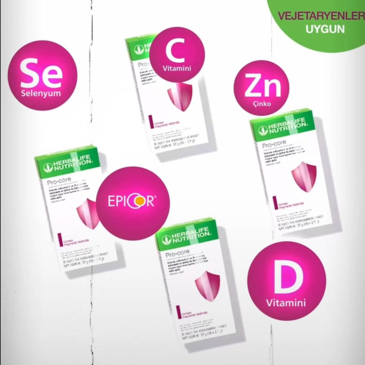 Herbalife Pro-Core Orman Meyveleri Tadında